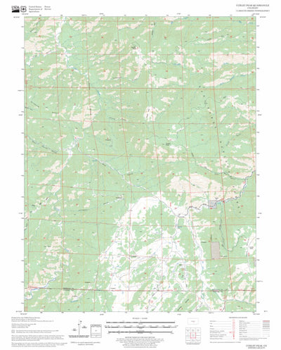US Forest Service - Topo Curley Peak, CO FSTopo Legacy digital map