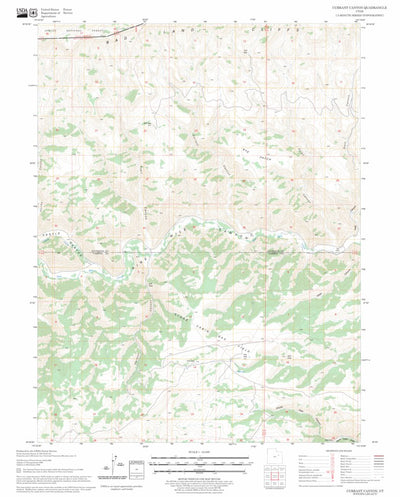 US Forest Service - Topo Currant Canyon, UT FSTopo Legacy digital map