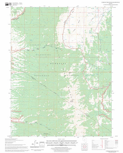 US Forest Service - Topo Currant Mountain, NV FSTopo Legacy digital map