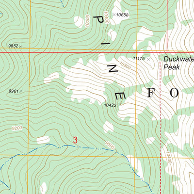 US Forest Service - Topo Currant Mountain, NV FSTopo Legacy digital map