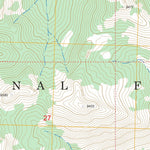 US Forest Service - Topo Custer, ID FSTopo Legacy digital map