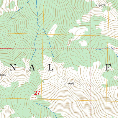 US Forest Service - Topo Custer, ID FSTopo Legacy digital map