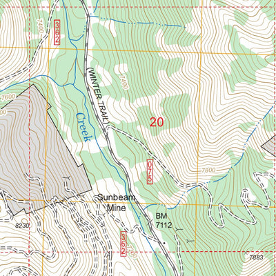 US Forest Service - Topo Custer, ID FSTopo Legacy digital map