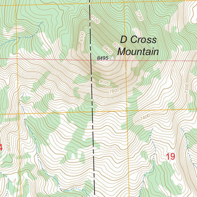 US Forest Service - Topo D Cross Mountain, NM FSTopo Legacy digital map