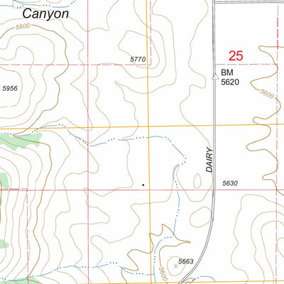 US Forest Service - Topo Dairy Creek, ID FSTopo Legacy digital map