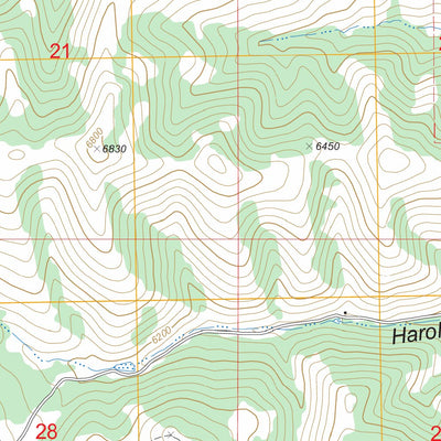 US Forest Service - Topo Dairy Creek, ID FSTopo Legacy digital map