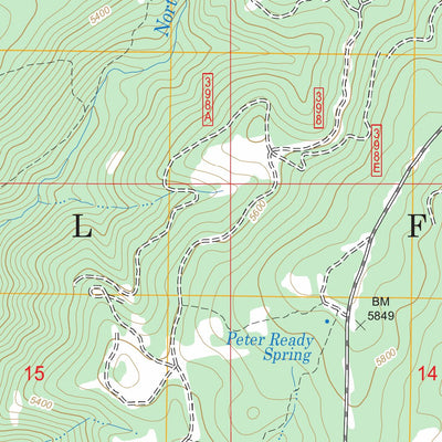 US Forest Service - Topo Dairy Mountain, ID FSTopo Legacy digital map