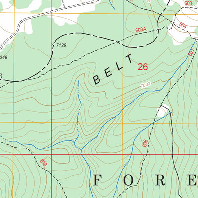 US Forest Service - Topo Daisy Peak, MT FSTopo Legacy digital map