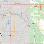 US Forest Service - Topo Dale, OR FSTopo Legacy digital map