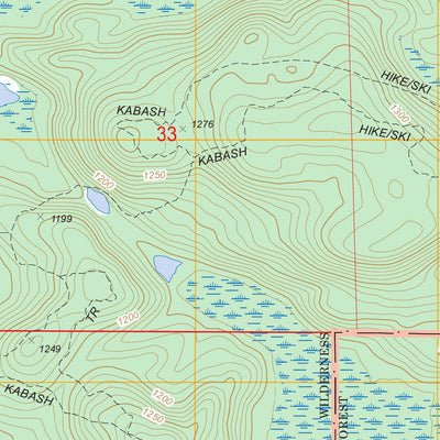 US Forest Service - Topo Daley Bay, MN FSTopo Legacy digital map