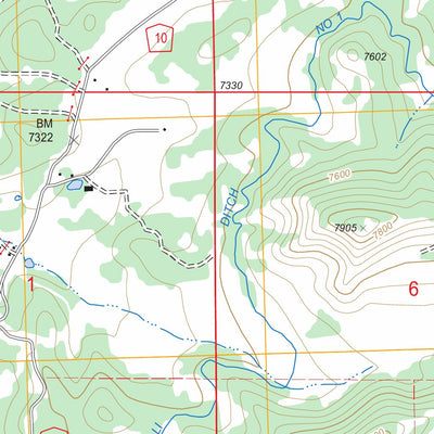 US Forest Service - Topo Dallas, CO FSTopo Legacy digital map