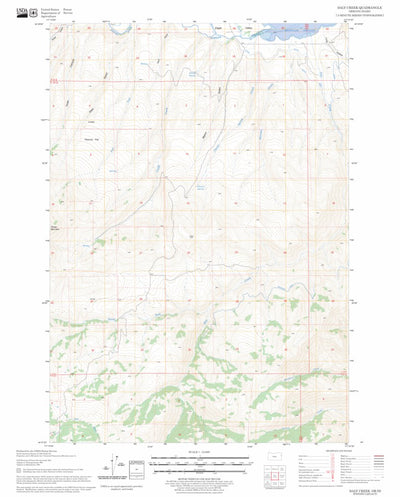 US Forest Service - Topo Daly Creek, OR - ID FSTopo Legacy digital map