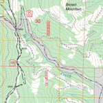 US Forest Service - Topo Damnation Peak, CA FSTopo Legacy digital map