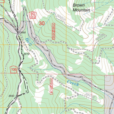US Forest Service - Topo Damnation Peak, CA FSTopo Legacy digital map