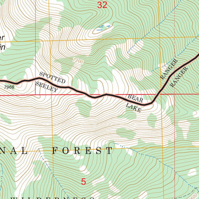US Forest Service - Topo Danaher Mountain, MT FSTopo Legacy digital map