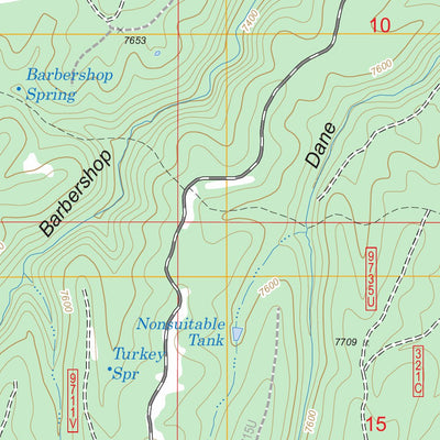 US Forest Service - Topo Dane Canyon, AZ FSTopo Legacy digital map