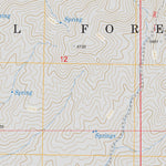 US Forest Service - Topo Danskin Peak, ID FSTopo Legacy digital map
