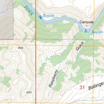US Forest Service - Topo Danskin Peak, ID FSTopo Legacy digital map