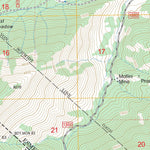 US Forest Service - Topo Davis Mountain, NV - CA FSTopo Legacy digital map