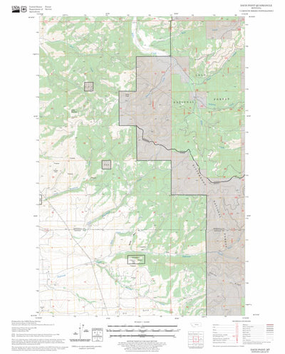 US Forest Service - Topo Davis Point, MT FSTopo Legacy digital map