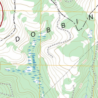 US Forest Service - Topo Davis, WV - MD FSTopo Legacy digital map