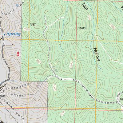 US Forest Service - Topo Davisville, MO FSTopo Legacy digital map
