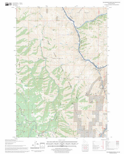 US Forest Service - Topo Deadhorse Ridge, ID - OR FSTopo Legacy digital map