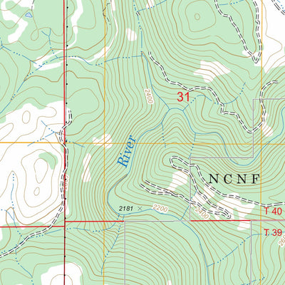 US Forest Service - Topo Deary, ID FSTopo Legacy digital map