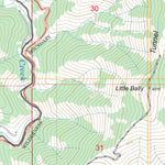 US Forest Service - Topo Dedrick, CA FSTopo Legacy digital map