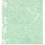 US Forest Service - Topo Deep Creek, FL FSTopo Legacy digital map