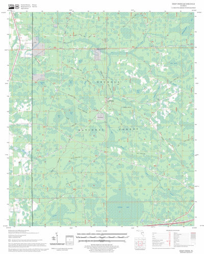 US Forest Service - Topo Deep Creek, FL FSTopo Legacy digital map