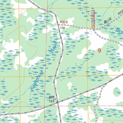 US Forest Service - Topo Deep Creek, FL FSTopo Legacy digital map