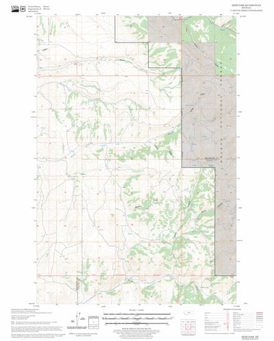 US Forest Service - Topo Deer Park, MT FSTopo Legacy digital map