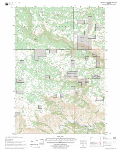 US Forest Service - Topo Deerhorn Creek, OR FSTopo Legacy digital map
