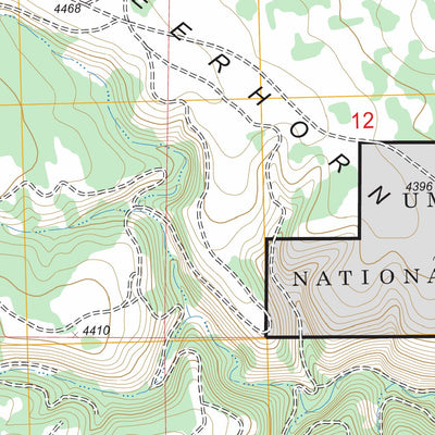 US Forest Service - Topo Deerhorn Creek, OR FSTopo Legacy digital map