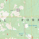US Forest Service - Topo Delano Peak, UT FSTopo Legacy digital map