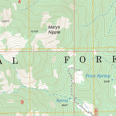 US Forest Service - Topo Delano Peak, UT FSTopo Legacy digital map