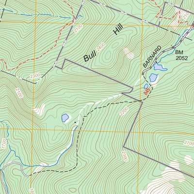 US Forest Service - Topo Delectable Mountain, VT FSTopo Legacy digital map
