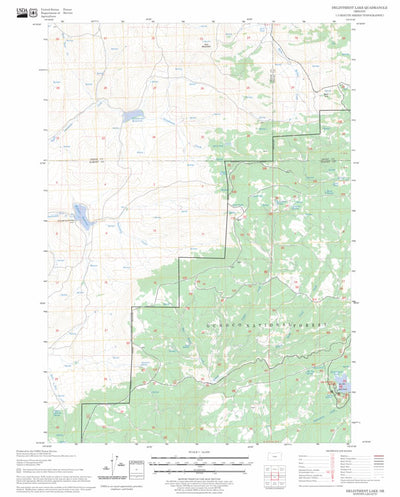 US Forest Service - Topo Delintment Lake, OR FSTopo Legacy digital map