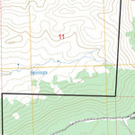 US Forest Service - Topo Delintment Lake, OR FSTopo Legacy digital map