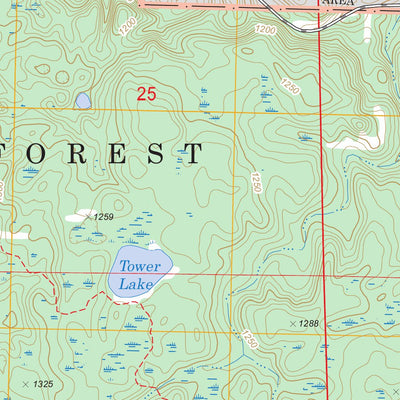 US Forest Service - Topo Delta, WI FSTopo Legacy digital map