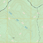 US Forest Service - Topo Denmar, WV FSTopo Legacy digital map