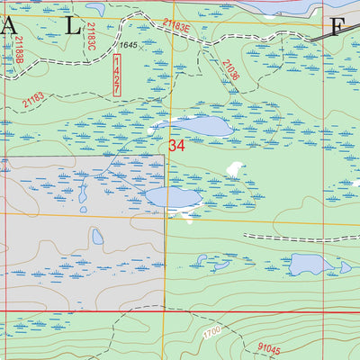 US Forest Service - Topo Devil Track Lake, MN FSTopo Legacy digital map