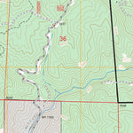 US Forest Service - Topo Devils Head, CO FSTopo Legacy digital map