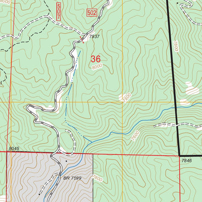 US Forest Service - Topo Devils Head, CO FSTopo Legacy digital map