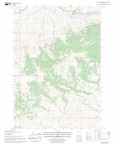 US Forest Service - Topo Devils Heel, OR FSTopo Legacy digital map