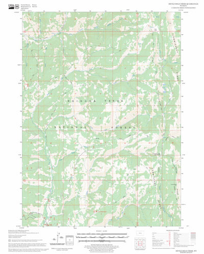 US Forest Service - Topo Devils Hole Creek, WY FSTopo Legacy digital map