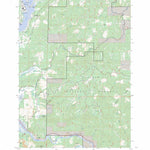 US Forest Service - Topo Devils Lake, OR FSTopo Legacy digital map