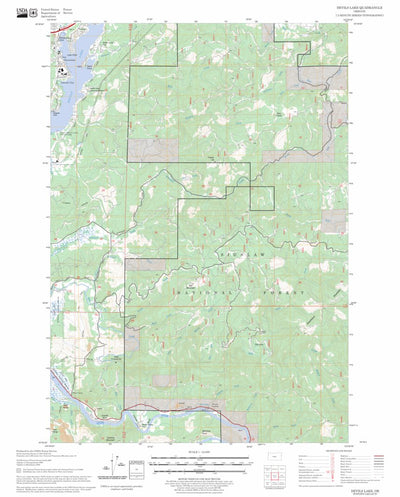 US Forest Service - Topo Devils Lake, OR FSTopo Legacy digital map
