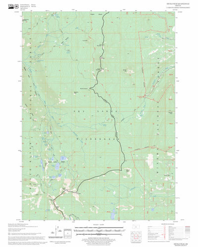 US Forest Service - Topo Devils Peak, OR FSTopo Legacy digital map